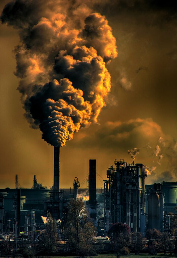 environmental toxins