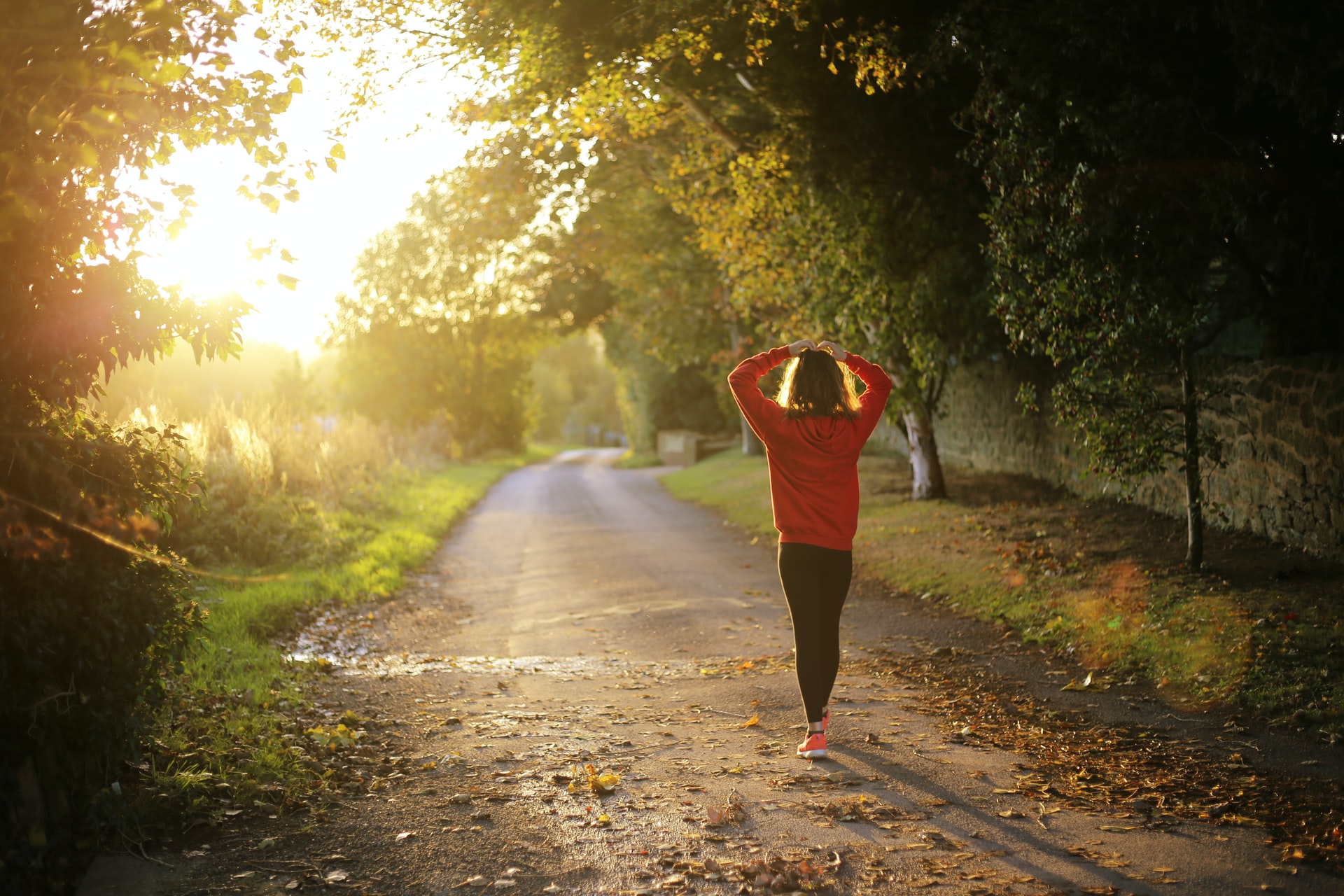 7 Virtual Classes: Understanding Menopause & More